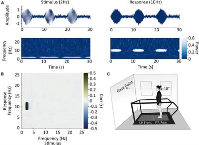 Absence of Nonlinear Coupling Between Electric Vestibular Stimulation and Evoked Forces During Standing Balance